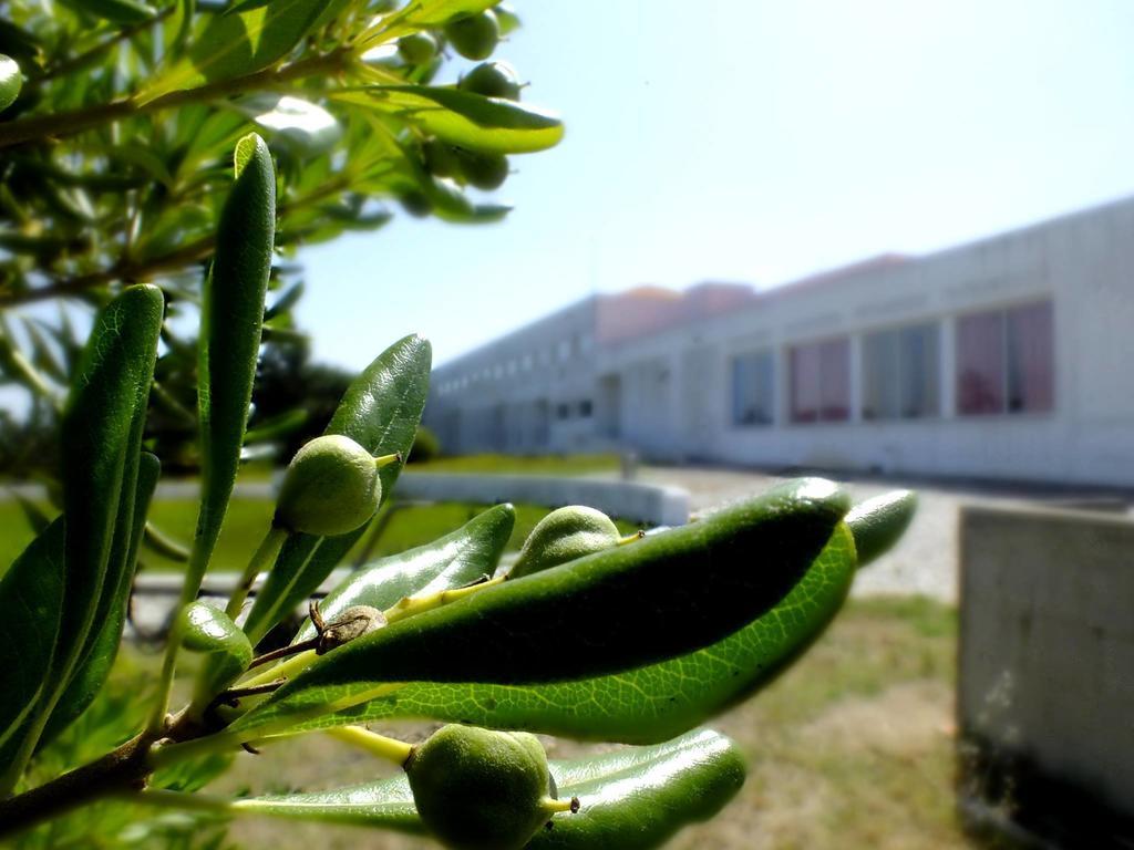Hi Almograve - Pousada De Juventude Exterior foto